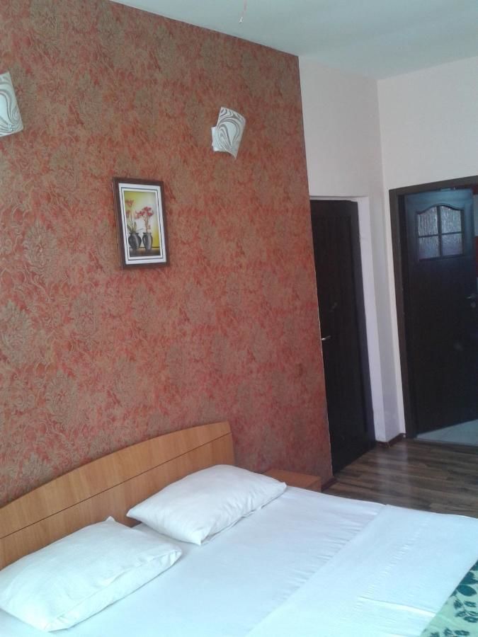 Проживание в семье Vila Casa Radu Констанца-11